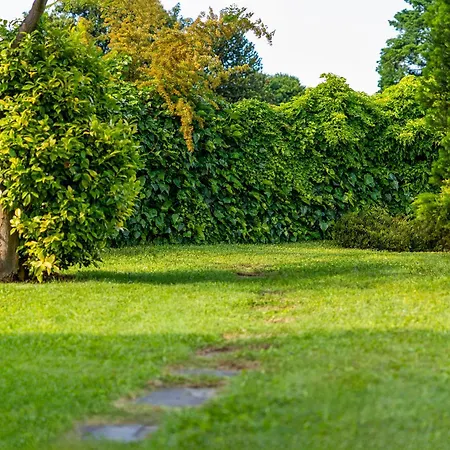 Apartment Residenza La Rocca - Maggiore Angera